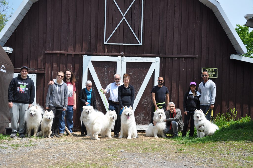 Groupe herding