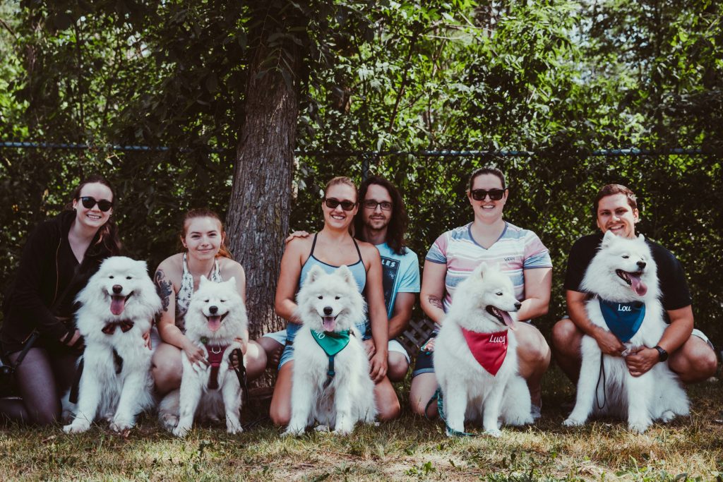 Plusieurs participants de la rencontre de samoyèdes avec leurs chiens