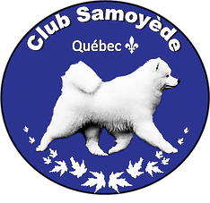 Club Samoyède Québec